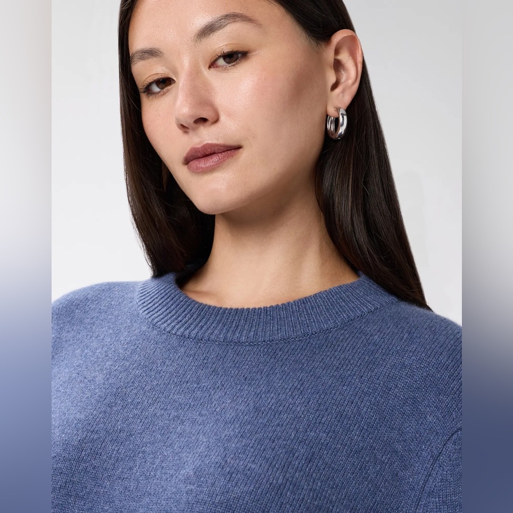 QUINCE MONGOLIAN CASHMERE OVERSIZED CREWNECK SWEATER - Picture 5 of 12